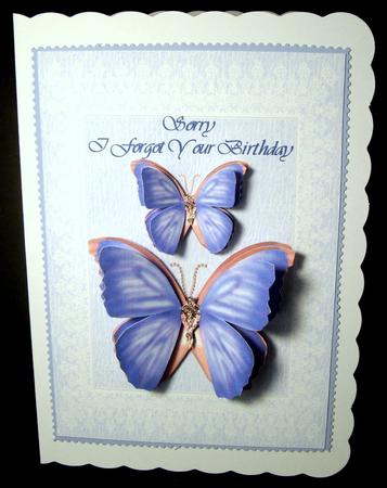 Belated Birthday Butterflies 1 by Dianne Jackson