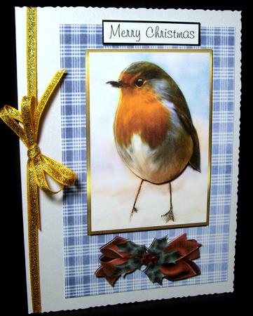 Christmas Red Red Robin 2 by Dianne Jackson