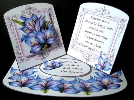 The Feelings of Flowers by Dianne Jackson