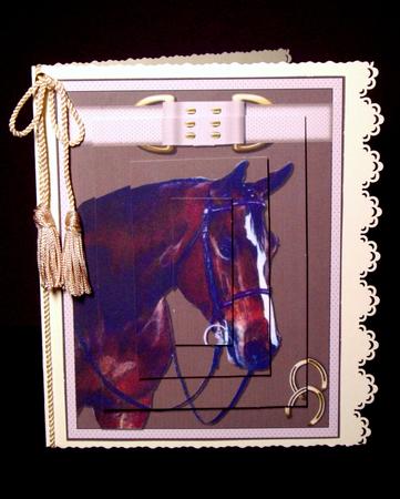 The Chestnut Horse by Dianne Jackson