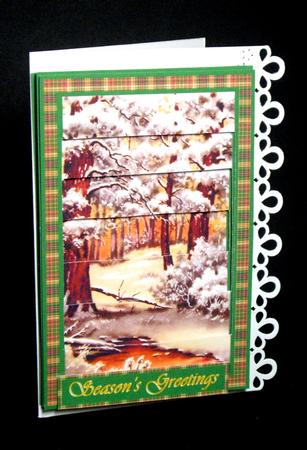 View Through the Woods Tunnel Stepper by Dianne Jackson