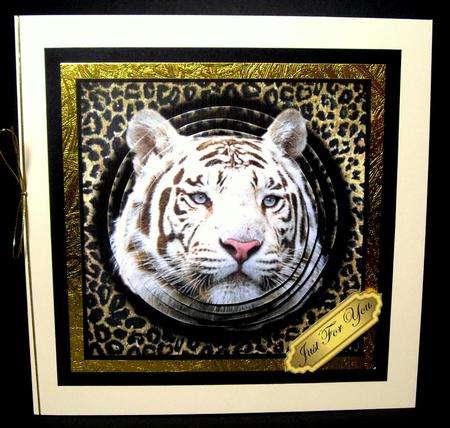 White Bengal Tiger Pyramid by Dianne Jackson