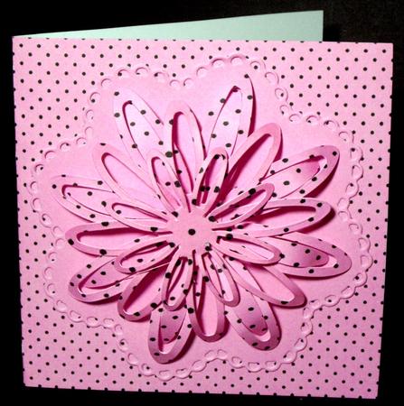 Spots, Stripes & Squares - Pink by Dianne Jackson