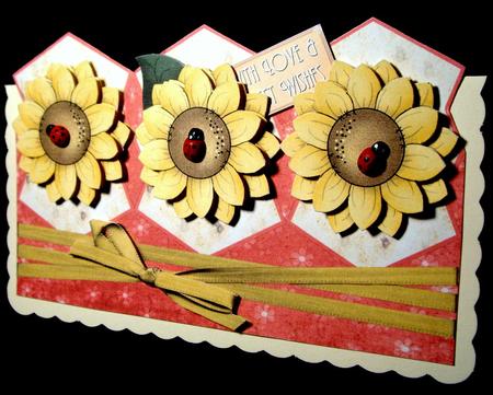 Sunflower Heads by Dianne Jackson