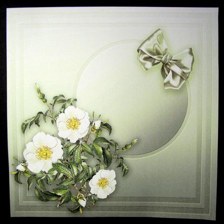 Christmas Roses in a Lace Frame - 8in x 8in Insert Plate by Dianne Jackson
