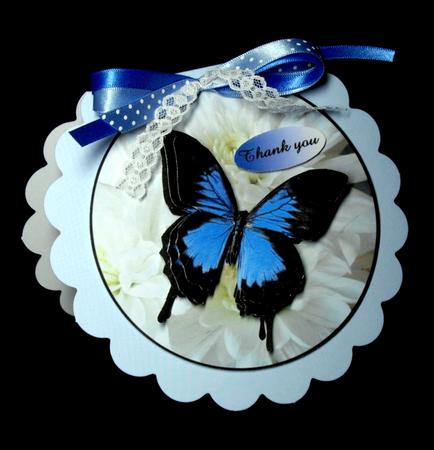 Blue Butterfly by Dianne Jackson