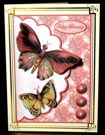 Pink Lucky Butterflies by Dianne Jackson
