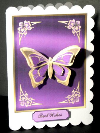 Lovely Lilac Butterfly by Dianne Jackson