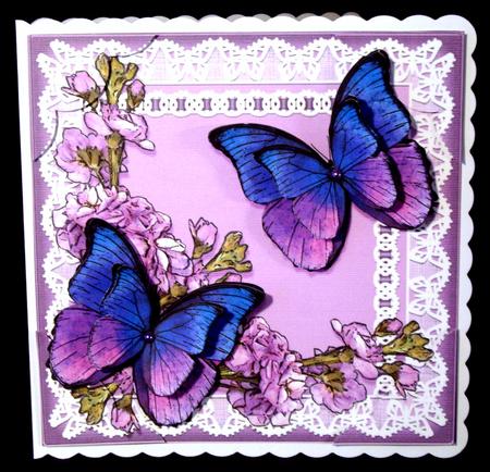 8 x 8 Butterflies Flowers N Lace Scalloped Corner Topper by Dianne Jackson