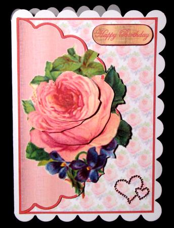 Pretty Pink Bloom by Dianne Jackson