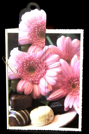 Birthday or Mother's Day Bookmark Card by Dianne Jackson