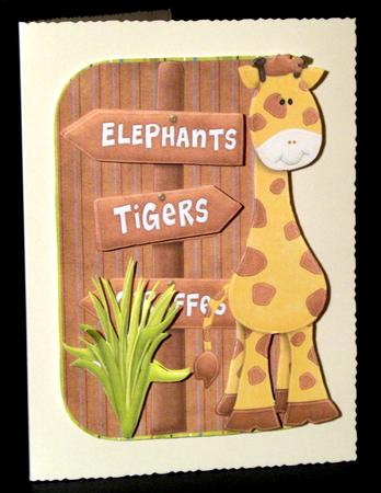 This Giraffe is in the Wrong Place by Dianne Jackson