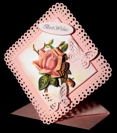 English Rose by Dianne Jackson