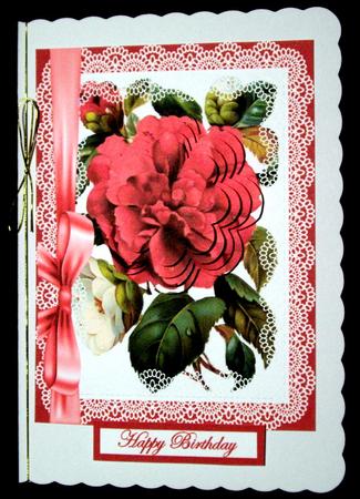 Large Red Rose by Dianne Jackson