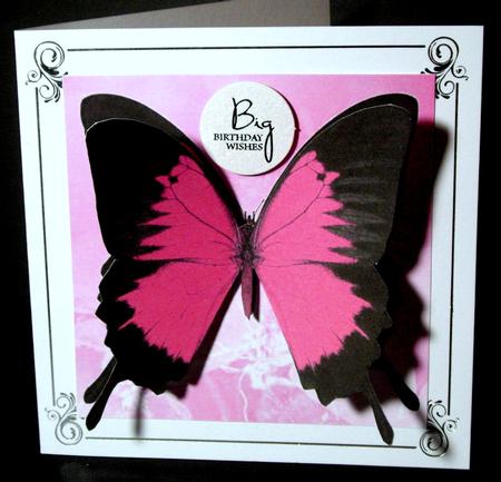 Pink Butterfly by Dianne Jackson