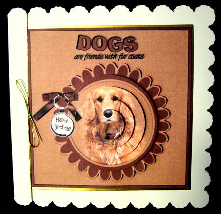 The Golden Retriever by Dianne Jackson