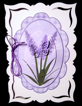 Lilac Surprise by Dianne Jackson