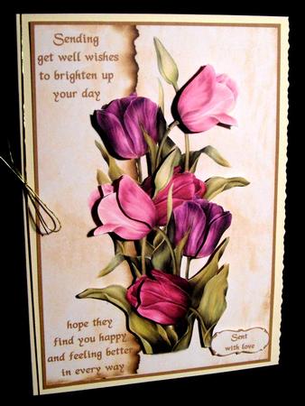Get Well Tulips by Dianne Jackson