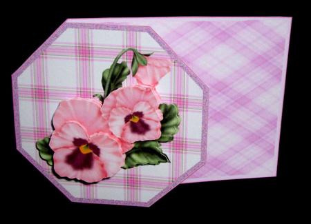 Pink Pansy by Dianne Jackson