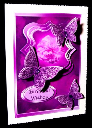 Purple Carnations by Dianne Jackson