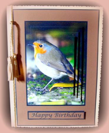 Robin Quick Card by Dianne Jackson