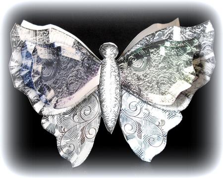 Papillon 8b, Elegant by Dianne Jackson