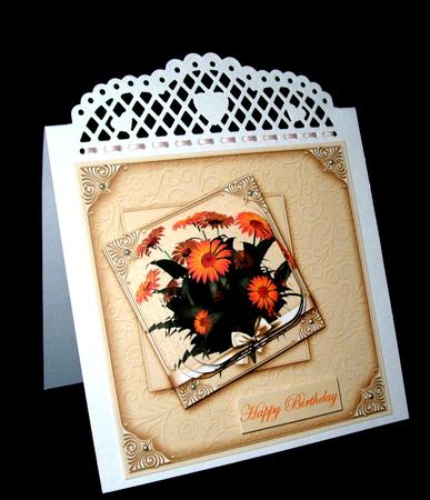 Orange Daisies by Dianne Jackson
