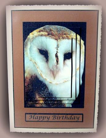 Barn Owl Quick Card by Dianne Jackson