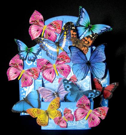 3D Box of Butterflies by Dianne Jackson