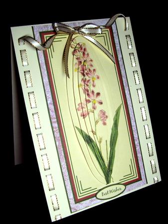 Pale Pink Floral Dl by Dianne Jackson