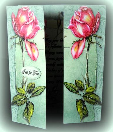 Pink Roses Book Gatefold by Dianne Jackson