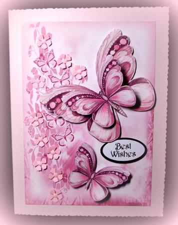 Pink Butterfly by Dianne Jackson