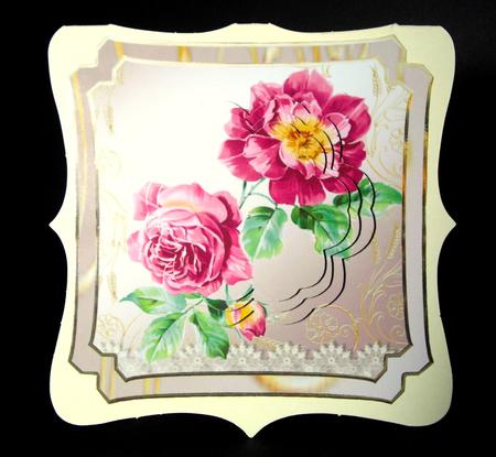 Pink Camellia by Dianne Jackson
