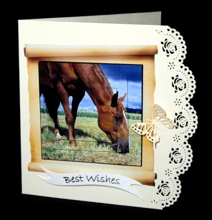 A Horse is a Horse by Dianne Jackson