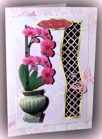 Hot Pink Orchid Aperture Birthday Kit by Dianne Jackson
