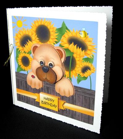 Peeking Over the Garden Fence by Dianne Jackson