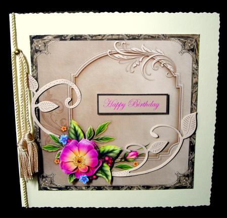 Wild Rose Card Fronts by Dianne Jackson