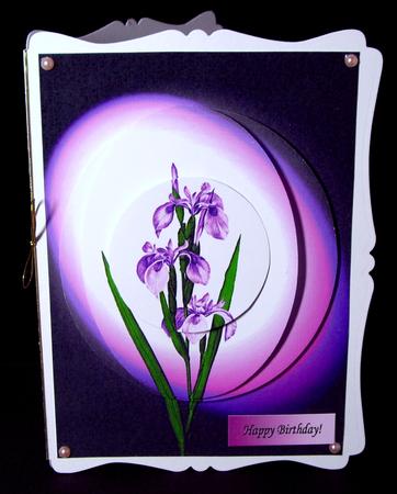 Purple Iris in Lights by Dianne Jackson