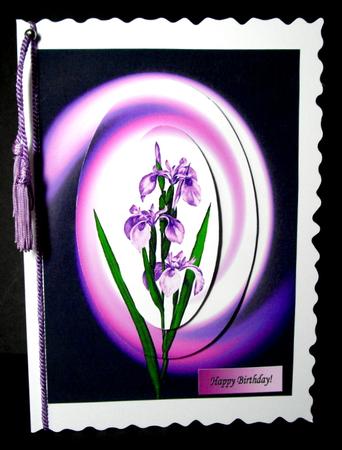 Mesmorizing Purple Iris by Dianne Jackson