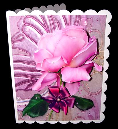 Pink Large Rose by Dianne Jackson
