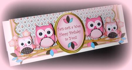 Pink Owls Twittwitawoo Birthday Large Dl Decoupage Card Kit by Dianne Jackson