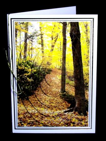 Autumn in the Woods Pyramid Sheet by Dianne Jackson