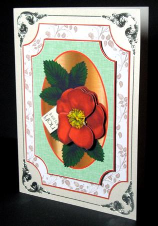 Peachy Floral by Dianne Jackson