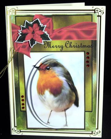 Red Red Robin by Dianne Jackson