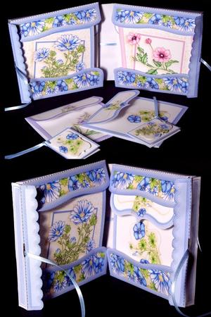 Stationery Gift Set - Painted Flowers Bumper Kit by Dianne Jackson