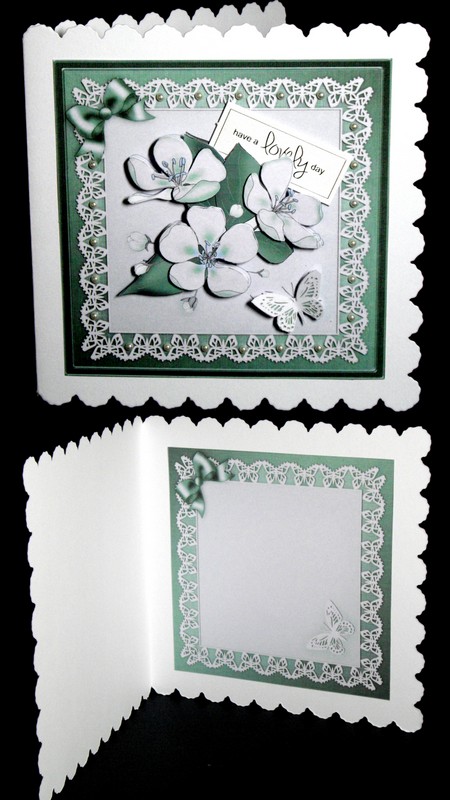 Apple Blossom Matching 8 x 8 Insert Panel and Greetings by Dianne Jackson