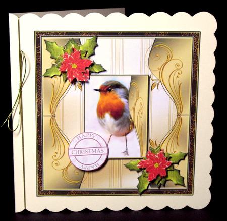 Robin's Christmas Wishes by Dianne Jackson