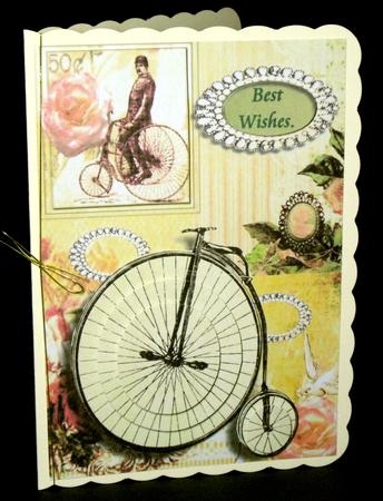 Penny Farthing by Dianne Jackson