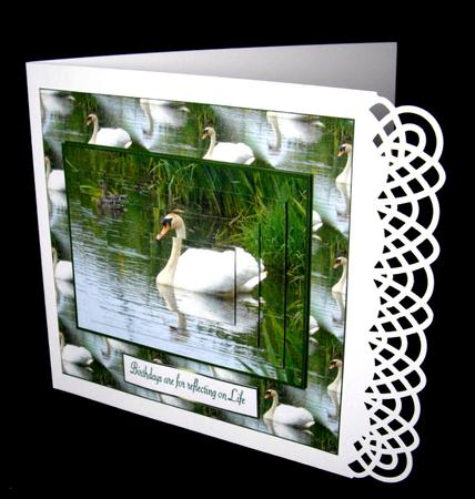 Swan Reflections by Dianne Jackson