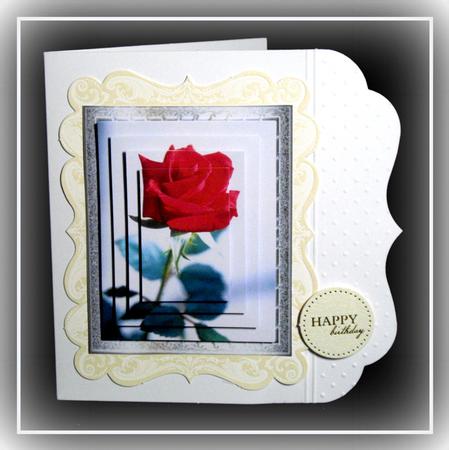Red Rose in Silver Frame,pyramids by Dianne Jackson